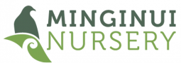 Minginui Nursery